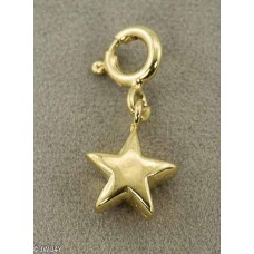 Star (925 Silver gold-plated)